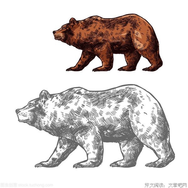 搏击俱乐部2的读后感大全
