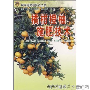 《没有橘子，就来颗柠檬吧》读后感1000字