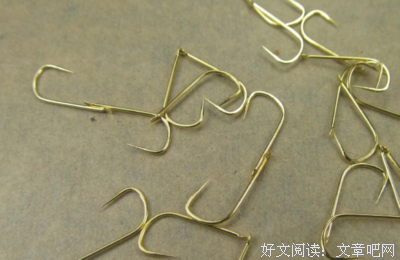 鲛在水中央读后感锦集