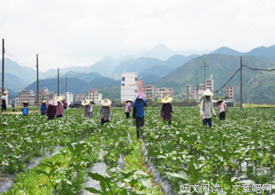 关于翩翩起舞名言名句