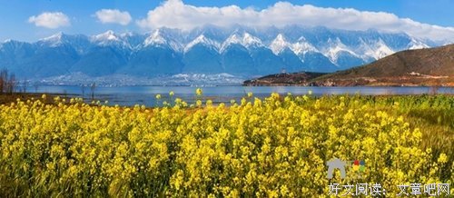 关于风情万种的名言