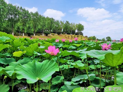 《一眼瞬间，再见爱》经典观后感集