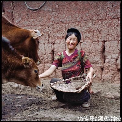 《母亲》经典观后感有感