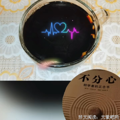 《不分心》读后感1000字