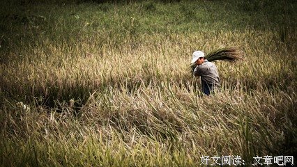 人间采风经典的句子