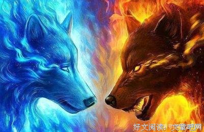 辰东名言