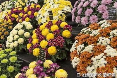关于致我们终没还大逝去的青春的句子