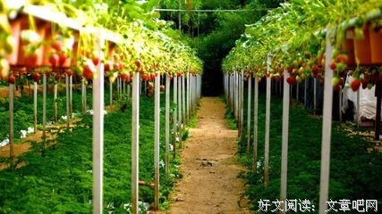 人生与生个都将中的学可相与面对的优美句子