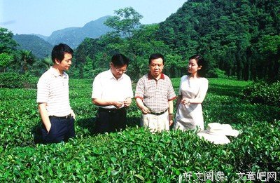 最全的《茶经》经典名句大全