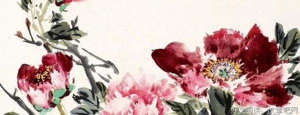 《掉队的拉美》读后感锦集