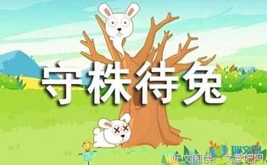 白日事故读后感锦集