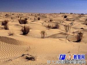 《做一个特立独行的女子：三毛传》读后感1000字