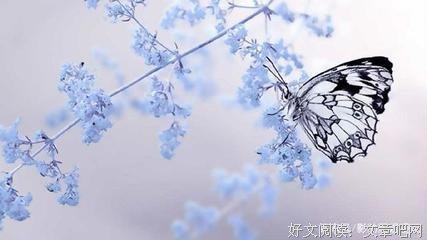 描写满目疮痍的语句摘抄
