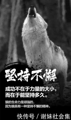 停滞不前的语句摘抄_关于停滞不前的语句