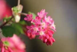 灵知沉沦的编年史读后感100字