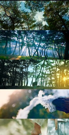 《阳光先生》经典影评有感