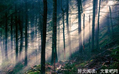 郁郁葱葱的语句摘抄_关于郁郁葱葱的语句