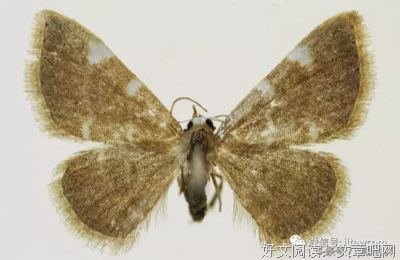 有关灰头土脸的美句摘抄