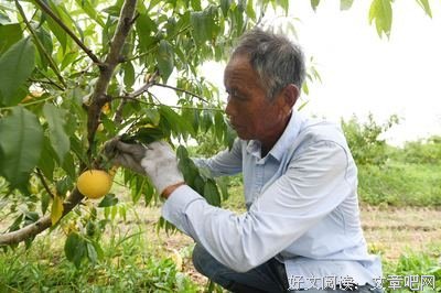 你是我最美的相遇2读后感精选