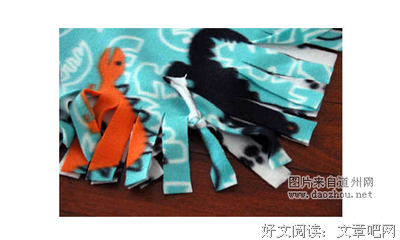 养猫人经典名句