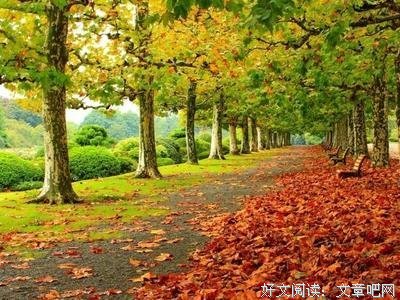 态度经典名句