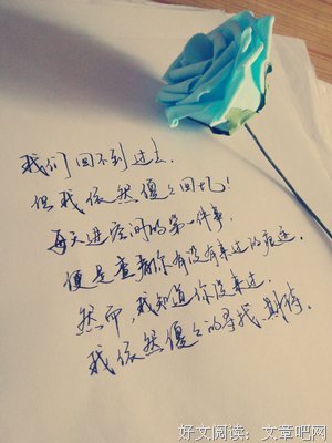 爱情语录
