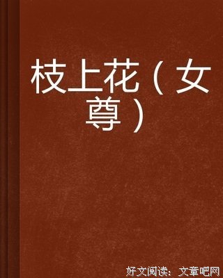 关于女尊小说写作的优美句子