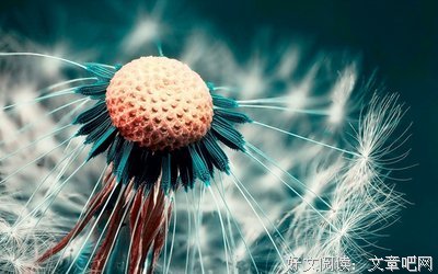 微暗经典的句子