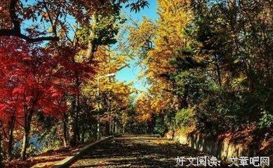 有关一粒微尘看世界的句子