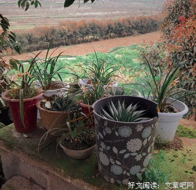 撒拉嘿哟？句子