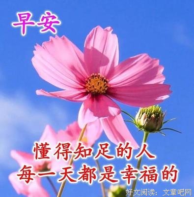 最新的《谎言》经典语录