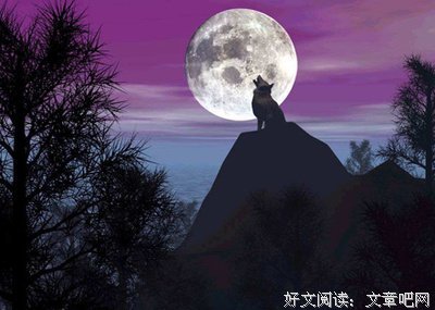 最经典的《走啊》经典句子大全