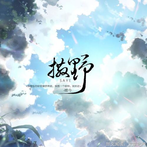 《转载》语录摘抄