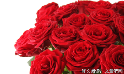 单身式爱情：你别靠太近，我就跟你在一起