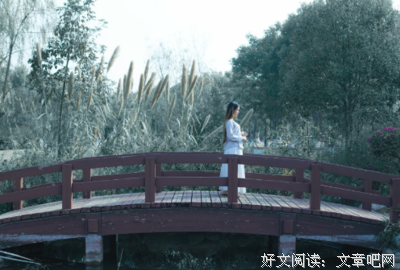 梦回三国/喜神来了读后感1000字
