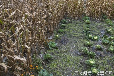 《乳房那些事》读后感精选