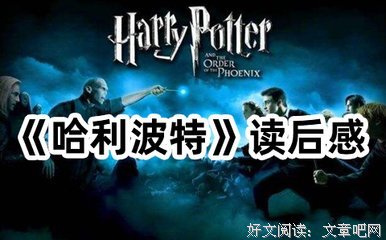 欲戴王冠读后感摘抄