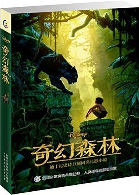 黑影地带读后感锦集