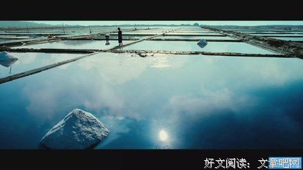 《蓝盐》经典观后感有感