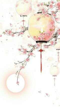 《做一个淡淡的女子》读后感锦集
