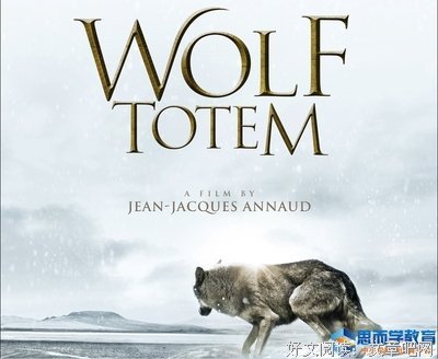《狼》的观后感大全
