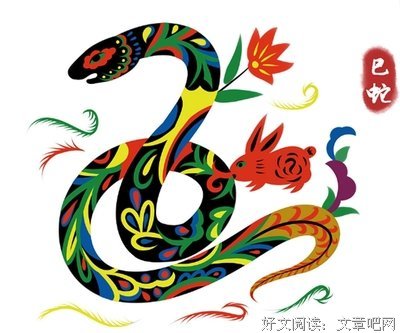 《蛇之人》经典观后感1000字