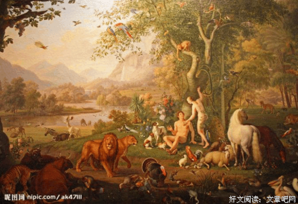 《夏娃的时间》观后感100字