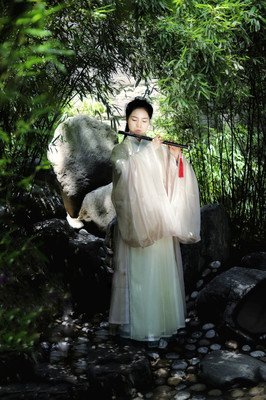 散入春风出能洛城优美的句子