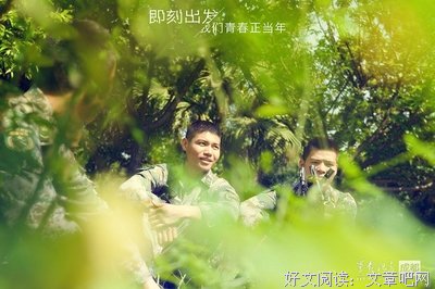 有关破茧成蝶5——以梦为汪，即刻出发的句子