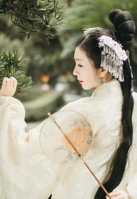 关于此生无悔入古风，来世愿做伞中人的句子