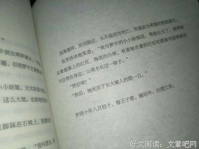有关昭奚旧草的句子