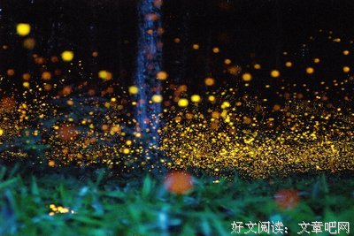 最全的《遇萤》经典的句子