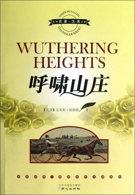 呼啸山庄读后感1000字