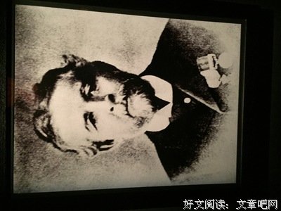 远走高飞的名句_关于远走高飞的名句